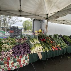 Bayfair Farmers' Market - Salad bar at Ledesma stand