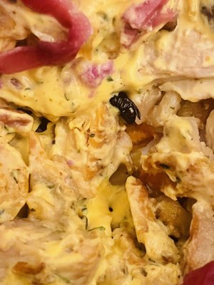 Nostimo Greek Kitchen by null