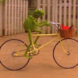 Goodale's Bike Shop - Even frogs like to bike ride