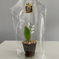 Aux Colonnes - Brin de muguet. 6,90€