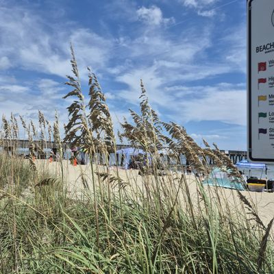 Tybee Beach Pier and Pavilion by null