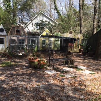 Hidden Ponds Nursery - The chicken coop - Nurseries & Gardening Near Me - Awendaw, South Carolina Hidden Ponds Nursery - The chicken coop - Nurseries & Gardening Near Me - Awendaw, South Carolina