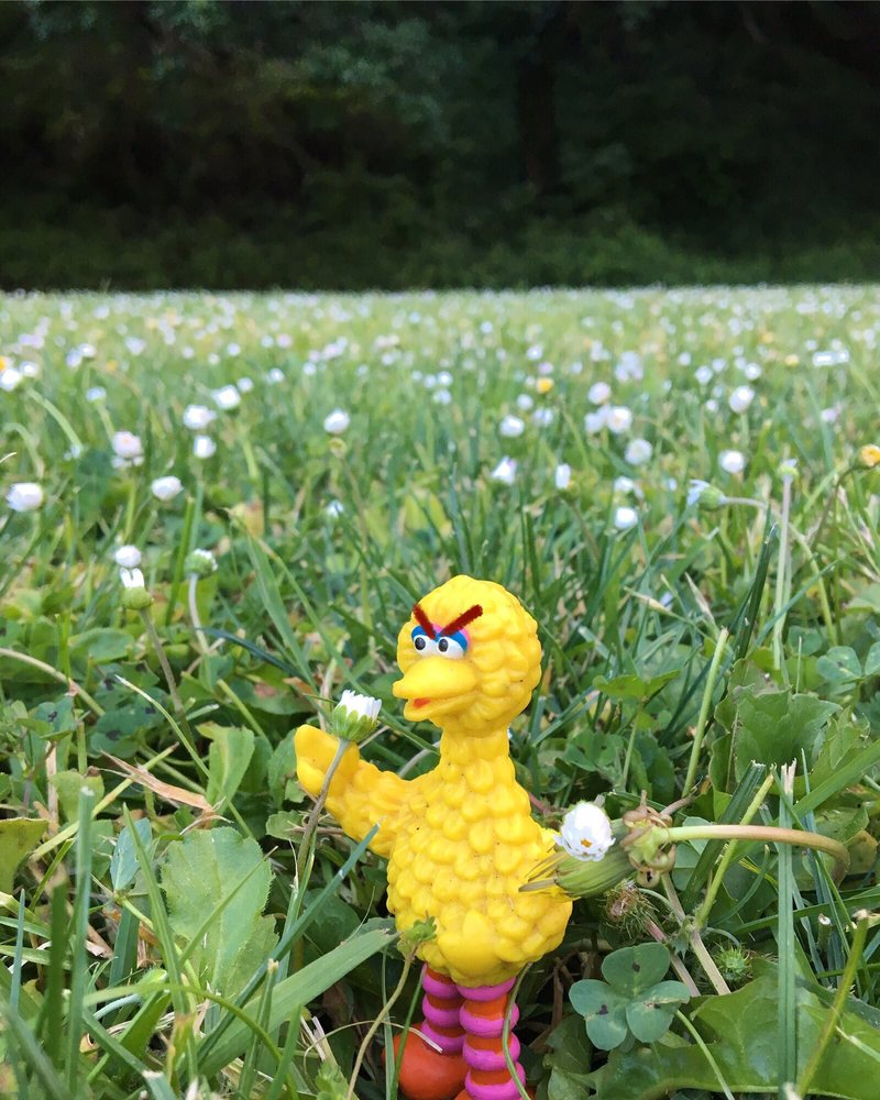 HADBRO TOYS 1855 41st Ave, Capitola, California 40 Photos Toy