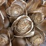 Roses America