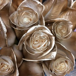 Roses America - Whatever you want you can find in Roses America