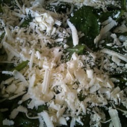 Mocca - Spinatsalat.