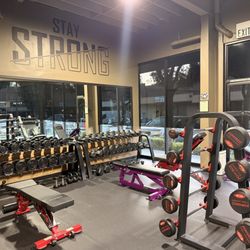 Results - Weights section