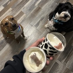 Cold Cow Ice Cream - Doggie sundae.