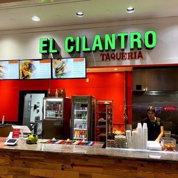 El Cilantro Taqueria - a restaurant counter - Mexican Near Me - Jensen Beach, Florida El Cilantro Taqueria - a restaurant counter - Mexican Near Me - Jensen Beach, Florida