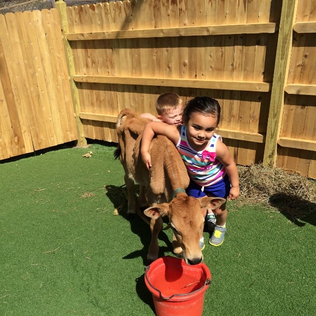 Wee Kids Early Learning Center - childcare center in Hainesport, NJ