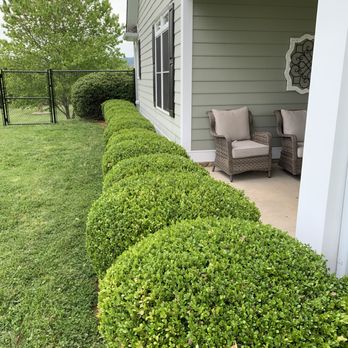 Fast Lane Mowing - Bush Trimming - Lawn Services Near Me Fast Lane Mowing - Bush Trimming - Lawn Services Near Me