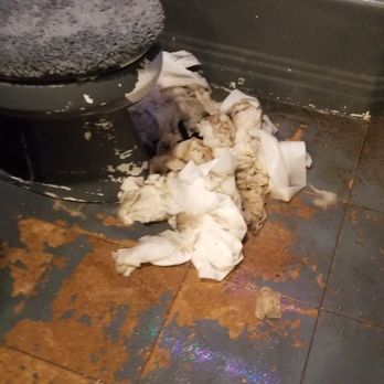 Fitzgerald Plumbing - Poo MESS Left - Plumbing Near Me - Cerritos, California Fitzgerald Plumbing - Poo MESS Left - Plumbing Near Me - Cerritos, California