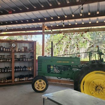 Three Sons Farm - Autumn Market Area - Farmers Market Near Me - Dover, Florida