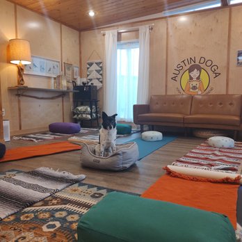 Austin Doga - Yoga with your dog studio in Austin, TX - Pet Training Near Me Austin Doga - Yoga with your dog studio in Austin, TX - Pet Training Near Me