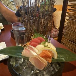 Sashimi Sashimi