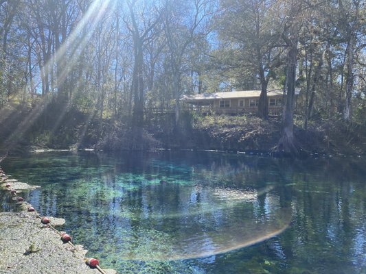 Fanning Springs State Park by null