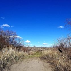McNary National Wildlife Refuge