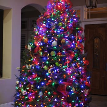 JS Tabacco Ranch - Our Tree - Christmas Trees Near Me - Los Gatos, California JS Tabacco Ranch - Our Tree - Christmas Trees Near Me - Los Gatos, California