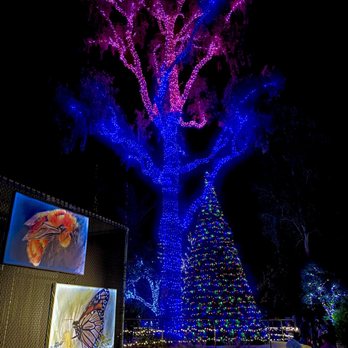 Zoolights - Zoos Near Me - Phoenix, Arizona