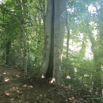 Forest Hill Park - Parks Near Me - Richmond, Virginia Forest Hill Park - Parks Near Me - Richmond, Virginia