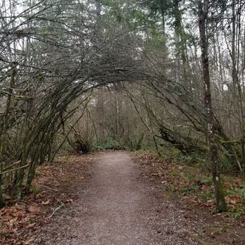 Whatcom Falls Park - Lesser used path - Dog Parks Near Me - Bellingham, Washington