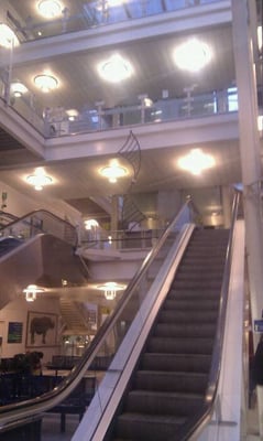 Chelsea and Westminster Hospital by null