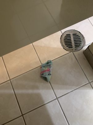 Cafe Colarusso by null