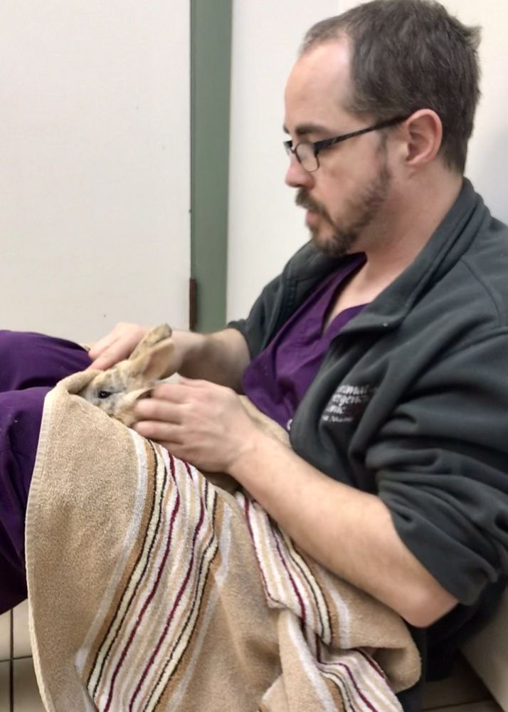 FOREST AVENUE VETERINARY HOSPITAL Updated August 2024 27 Photos