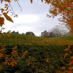 Hideout Golf Club - Autumn at The Hideout.