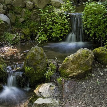 Tilden Regional Park - The waterfalls at botanical garden in Tilden Park, one of my favorite spots in the park, I like to listen to running water - Parks Near Me - Berkeley, California