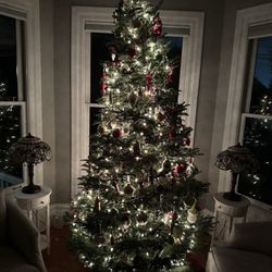 Steve's Trees - Xmas tree