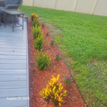 Tampa Landscape Solutions - Landscaping Near Me - Dover, Florida