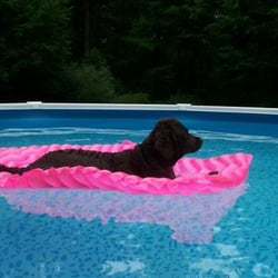 Ken's Pools - Jaida misses her pool but summers almost here.