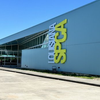 Louisiana SPCA - Animal Shelters Near Me - New Orleans, Louisiana Louisiana SPCA - Animal Shelters Near Me - New Orleans, Louisiana
