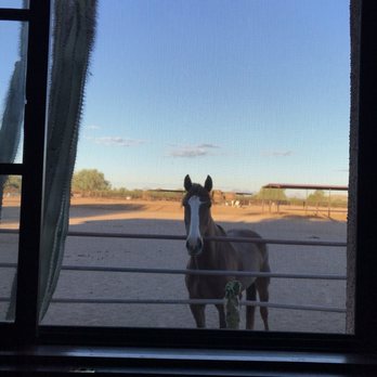 White Stallion Ranch - Hotels Near Me - Tucson, Arizona White Stallion Ranch - Hotels Near Me - Tucson, Arizona