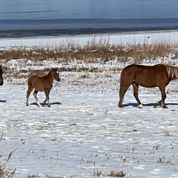 Washoe Lake State Park
