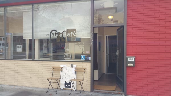 The Cat Cafe by null