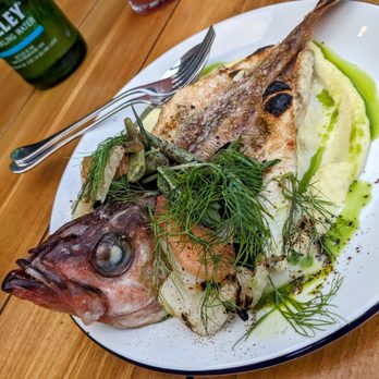 Cellar Hand - Rockfish - Mediterranean Near Me - San Diego, California