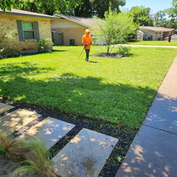 New Creation Landscaping - Grass - Landscaping Near Me - Austin, Texas New Creation Landscaping - Grass - Landscaping Near Me - Austin, Texas