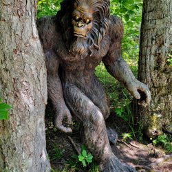 Rock City Park - Rock City Park,  Bigfoot