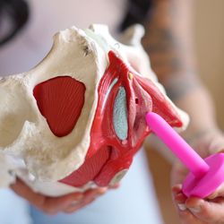 The Healing Pelvis
