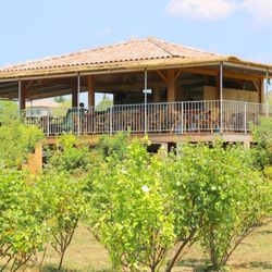 La Roseraie des Pommiers