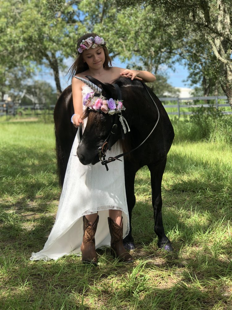 Divinity Stables - equestrian in Spring Hill, FL