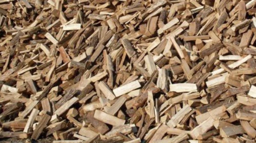 Total Tree Service - tree service in Knoxville, TN