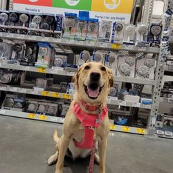 Lowe's Home Improvement