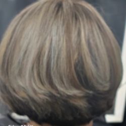 The Hair Lady