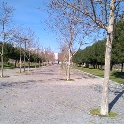 Parque da Paz