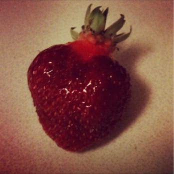 Interbay P-Patch - See.... It really is shaped like a heart! - Local Flavor Near Me - Seattle, Washington