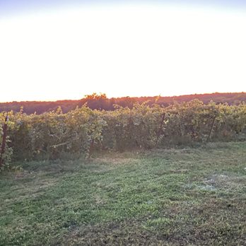 Windridge Vineyards - Vineyard - Wineries Near Me - Darnestown, Maryland Windridge Vineyards - Vineyard - Wineries Near Me - Darnestown, Maryland
