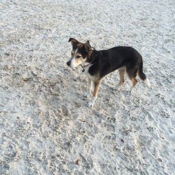 Canton Dog Park - Duchess of the dog park! - Dog Parks Near Me - Baltimore, Maryland